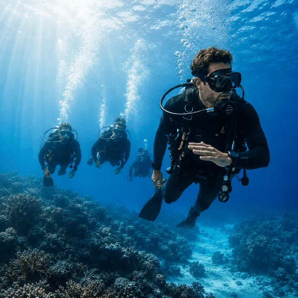 Divemaster course