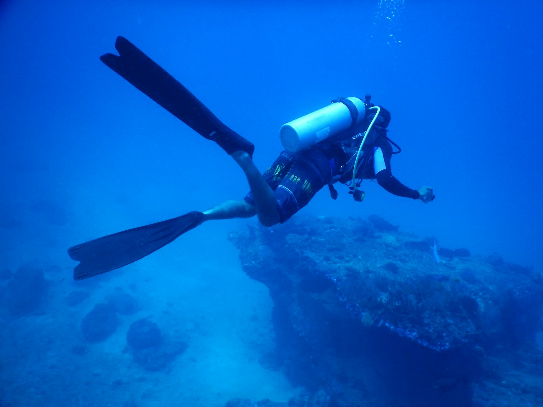 Enriched Air (Nitrox) Diver