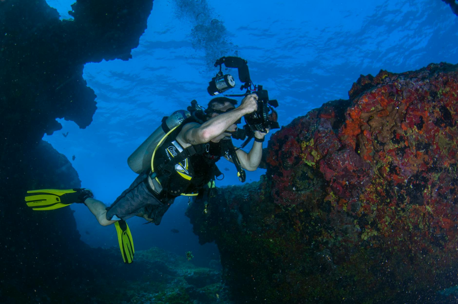Underwater Photography