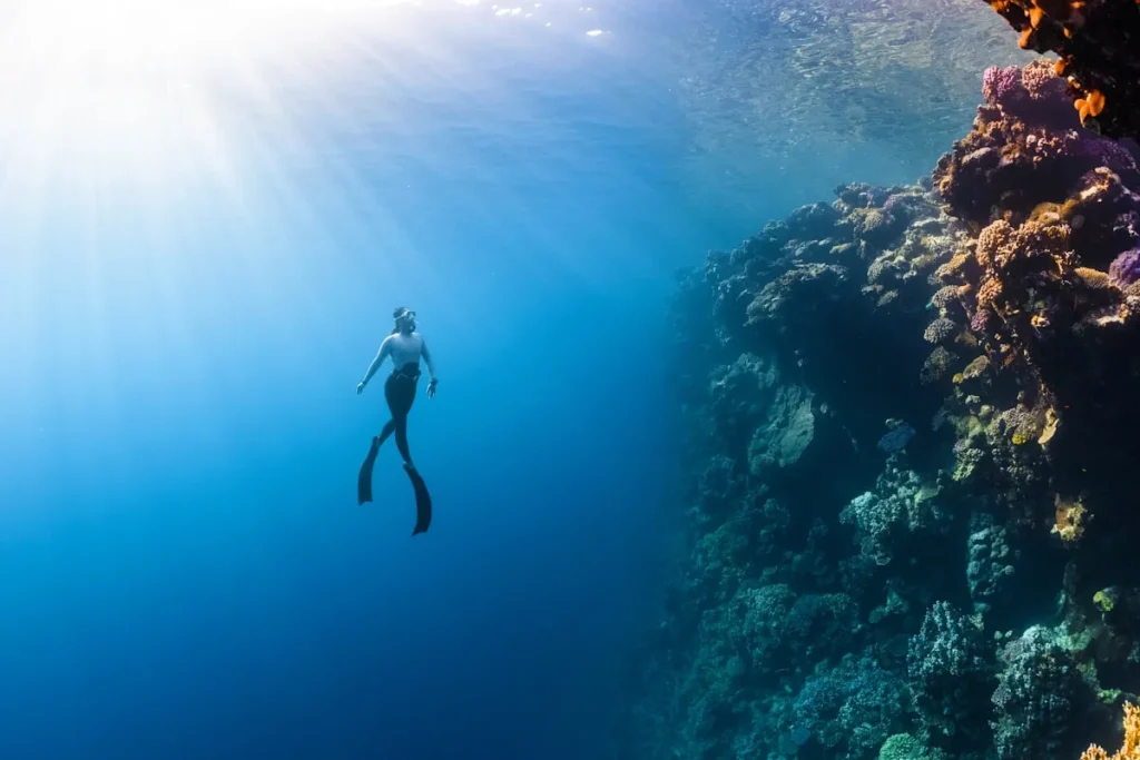 Decompression Procedures Diver